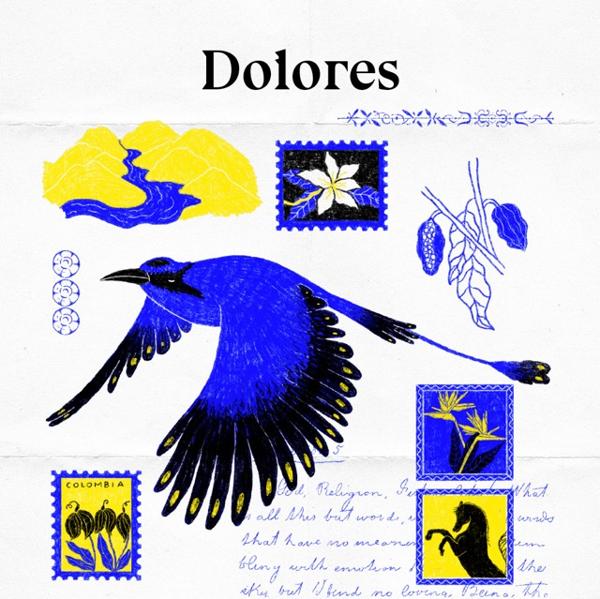 Dolores: Cuadros de la vida de una mujer