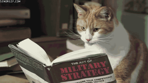 a very funny cat reading a book on military strategy